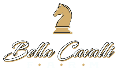 Bella Cavalli Farm